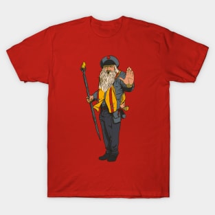 You Shall Not Pass T-Shirt